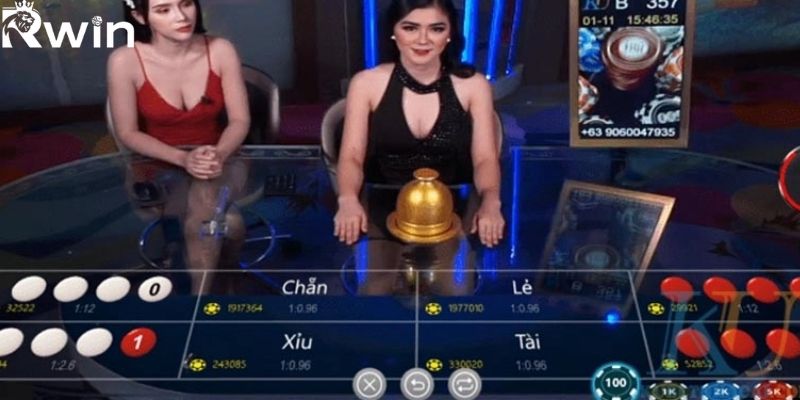 Cửa chẵn lẻ là một lựa chọn cơ bản cho người mới